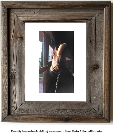 family horseback riding near me in East Palo Alto, California